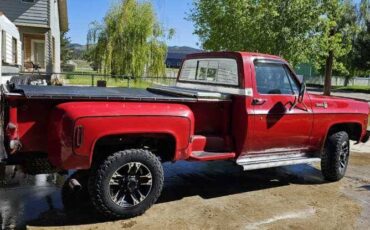 Chevrolet-Pickup-1976-red-3
