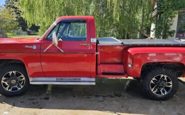 Chevrolet-Pickup-1976-red