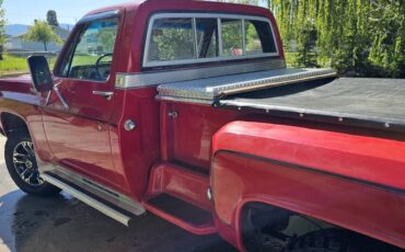 Chevrolet-Pickup-1976-red-4