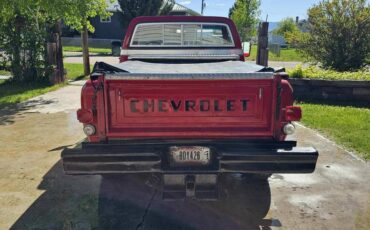 Chevrolet-Pickup-1976-red-5