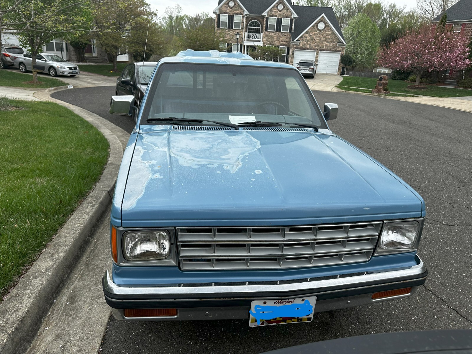 Chevrolet-S-10-1982-Pickup-Truck-1