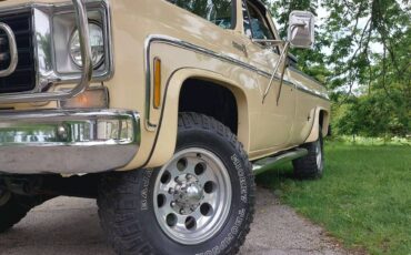 Chevrolet-Scottsdale-k20-1976-custom-1