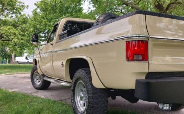 Chevrolet-Scottsdale-k20-1976-custom-2