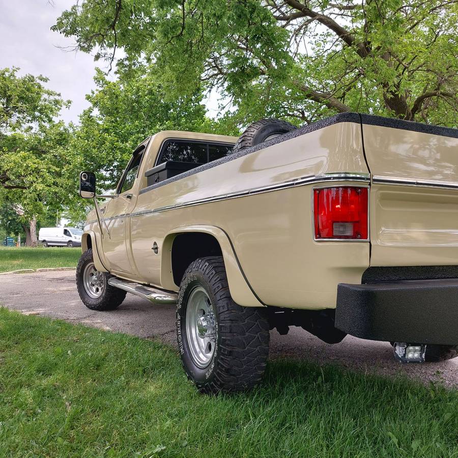 Chevrolet-Scottsdale-k20-1976-custom-2