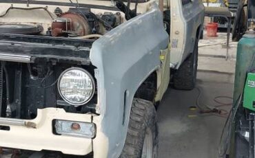 Chevrolet-Scottsdale-k20-1976-custom-20