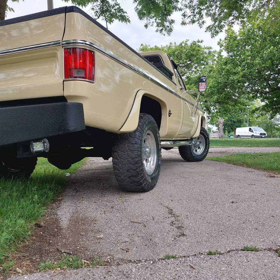 Chevrolet-Scottsdale-k20-1976-custom-3