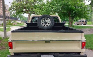 Chevrolet-Scottsdale-k20-1976-custom-4