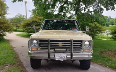 Chevrolet-Scottsdale-k20-1976-custom-5