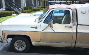 Chevrolet-Silverado-1500-1978-Standard-Cab-Pickup-7