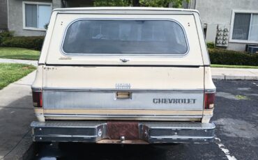 Chevrolet-Silverado-1500-1978-Standard-Cab-Pickup-9