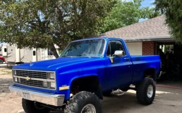 Chevrolet-Silverado-1500-1983-blue-3
