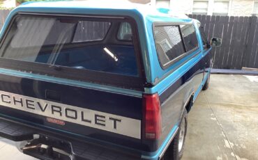 Chevrolet-Silverado-1500-1994-Standard-Cab-Pickup-23