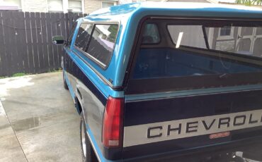 Chevrolet-Silverado-1500-1994-Standard-Cab-Pickup-24