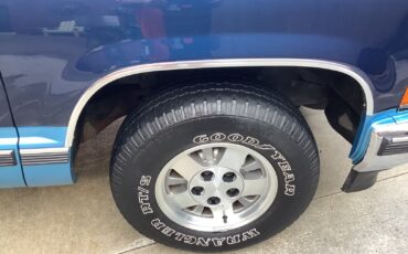 Chevrolet-Silverado-1500-1994-Standard-Cab-Pickup-7