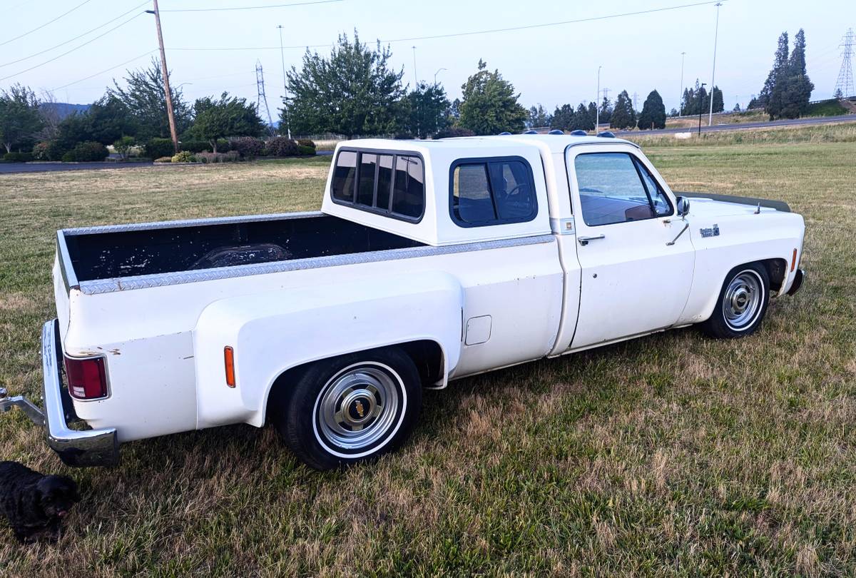 Chevrolet-Silverado-1500-dually-1979-1