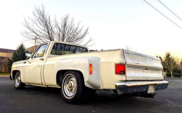 Chevrolet-Silverado-1500-dually-1979-10
