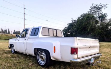 Chevrolet-Silverado-1500-dually-1979-12