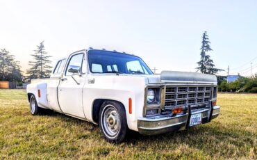 Chevrolet-Silverado-1500-dually-1979-13