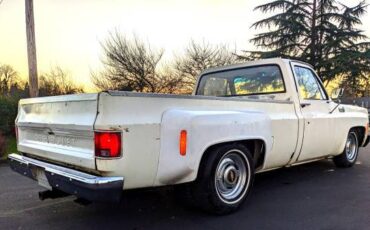 Chevrolet-Silverado-1500-dually-1979-15