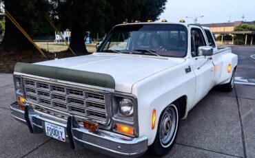 Chevrolet-Silverado-1500-dually-1979-17