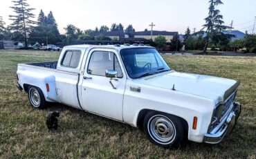 Chevrolet-Silverado-1500-dually-1979-18