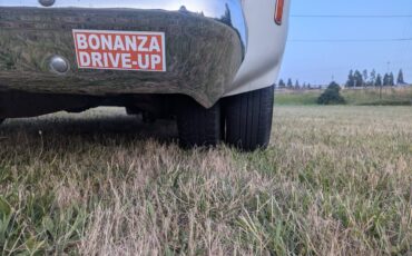 Chevrolet-Silverado-1500-dually-1979-19