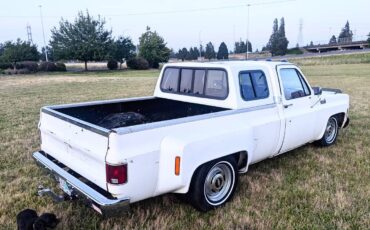 Chevrolet-Silverado-1500-dually-1979-20