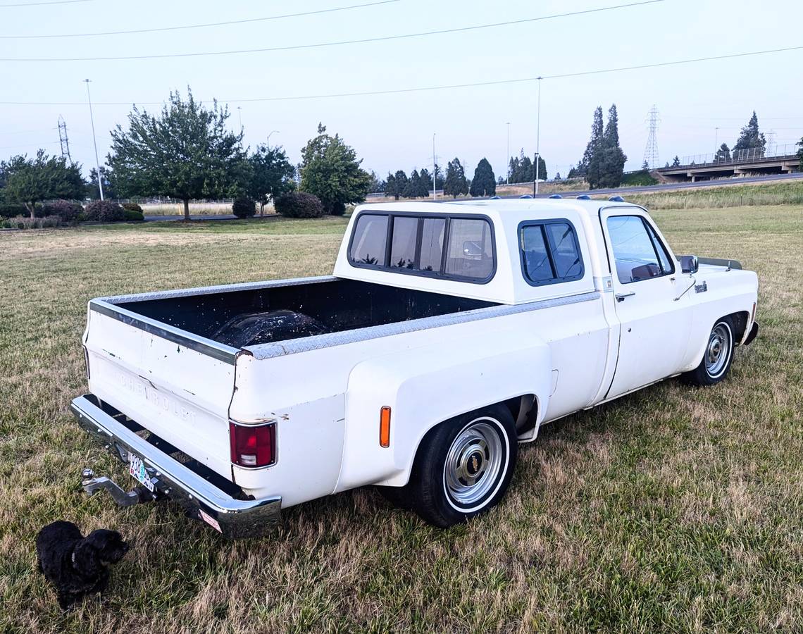 Chevrolet-Silverado-1500-dually-1979-20
