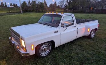 Chevrolet-Silverado-1500-dually-1979-22