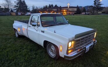Chevrolet-Silverado-1500-dually-1979-3