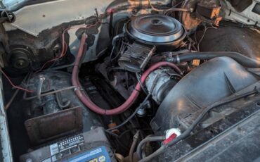 Chevrolet-Silverado-1500-dually-1979-4