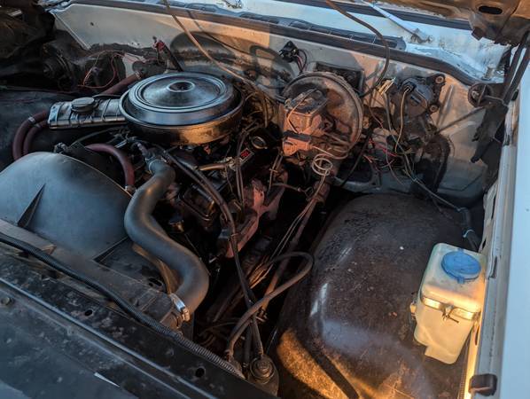Chevrolet-Silverado-1500-dually-1979-5