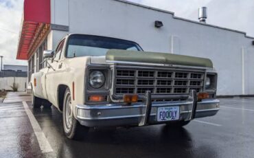 Chevrolet-Silverado-1500-dually-1979-7