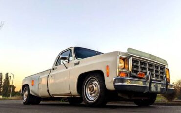 Chevrolet-Silverado-1500-dually-1979-8