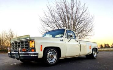 Chevrolet-Silverado-1500-dually-1979-9