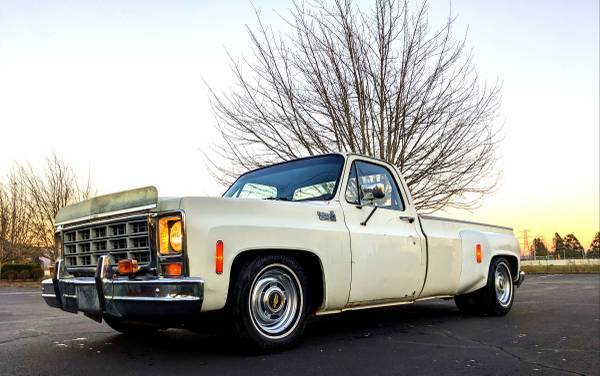 Chevrolet-Silverado-1500-dually-1979-9
