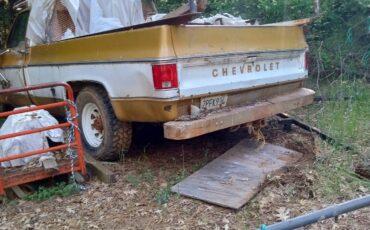 Chevrolet-Silverado-1975-1