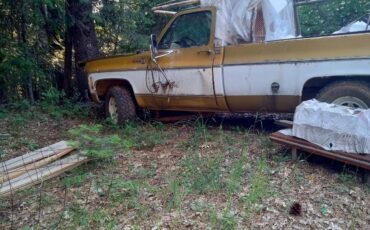 Chevrolet-Silverado-1975