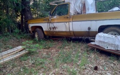 Chevrolet Silverado 1975