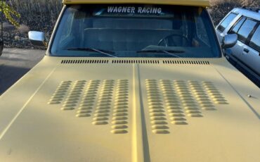 Chevrolet-Silverado-1976-yellow-14