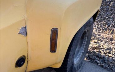 Chevrolet-Silverado-1976-yellow-8