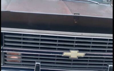 Chevrolet Silverado  1984 blue