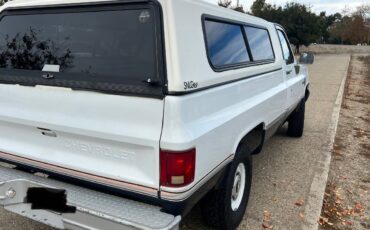 Chevrolet-Silverado-1987-white-14