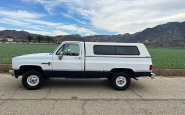 Chevrolet-Silverado-1987-white-9