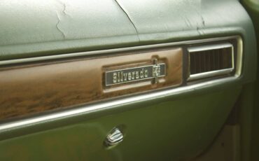 Chevrolet-Silverado-k-20-1976-green-15