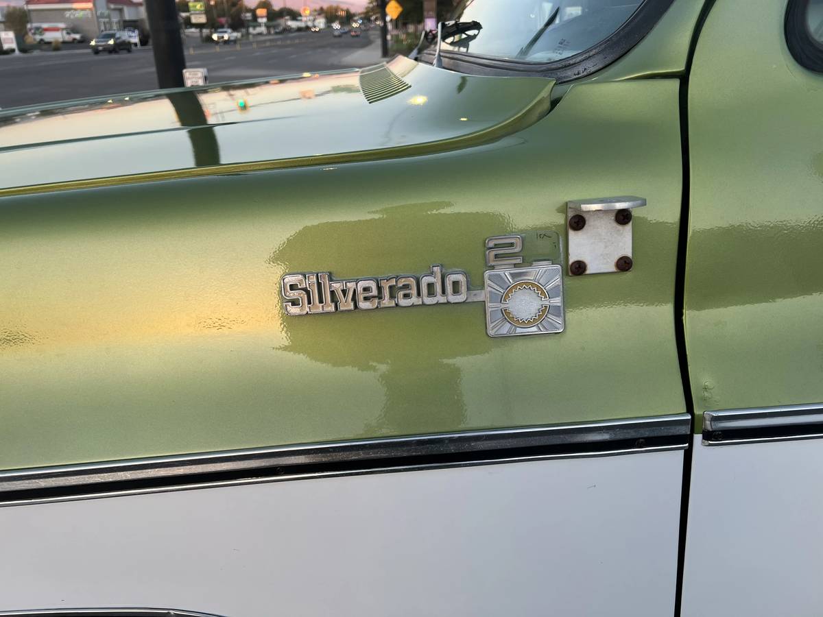 Chevrolet-Silverado-k-20-1976-green-2