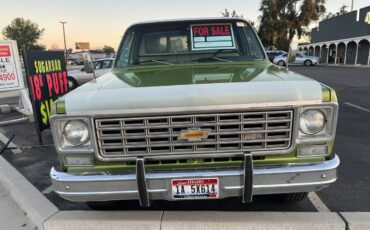 Chevrolet-Silverado-k-20-1976-green-4