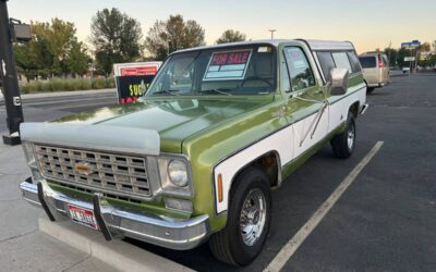 Chevrolet Silverado k-20  1976 green
