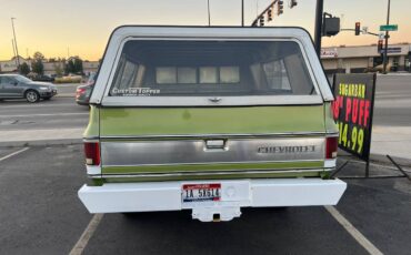 Chevrolet-Silverado-k-20-1976-green-5