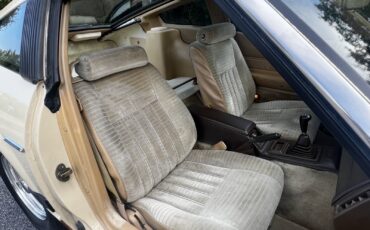 Datsun-280-ZX-1982-20